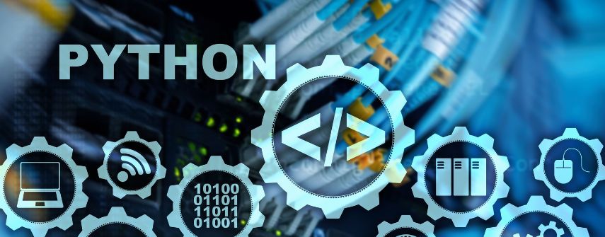 The Process of Hiring a Python Developer 1 The Process of Hiring a Python Developer