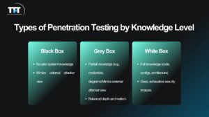 What Is Penetration Testing in Software Testing? Types, Process & Examples 3 Two column comparison of penetration testing versus software testing highlighting differences in goals focus tools and testing timeline