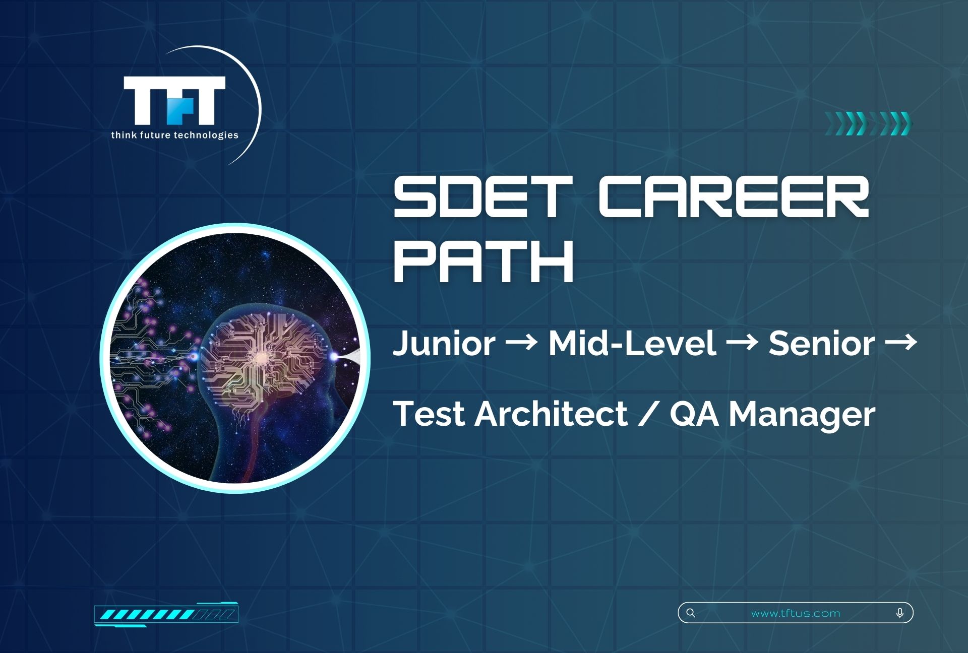 Career progression graphic for SDET roles, showing growth from junior to mid-level to senior, leading to test architect or QA manager positions.