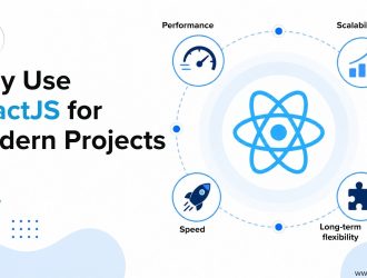 Hero illustration introducing ReactJS as a JavaScript library for building fast, interactive user interfaces, featuring the React logo inside a browser window with JavaScript and code elements.