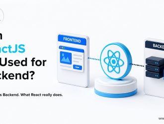Can ReactJS Be Used for Backend - Frontend vs Backend diagram showing React connecting to server and database