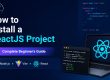 A comprehensive beginner's guide infographic titled "How to Install a ReactJS Project," introducing setup prerequisites and installation commands using Node.js, Vite, and React.