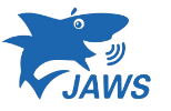 JAWS Accessibility Testing Tool